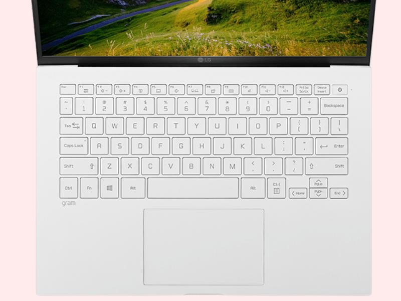 LG GRAM 14ZD90P
