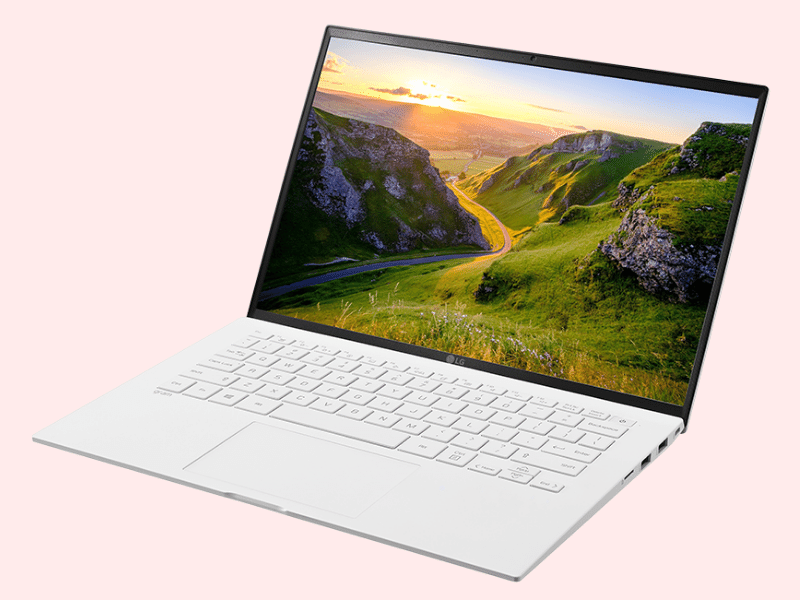 LG GRAM 14ZD90P