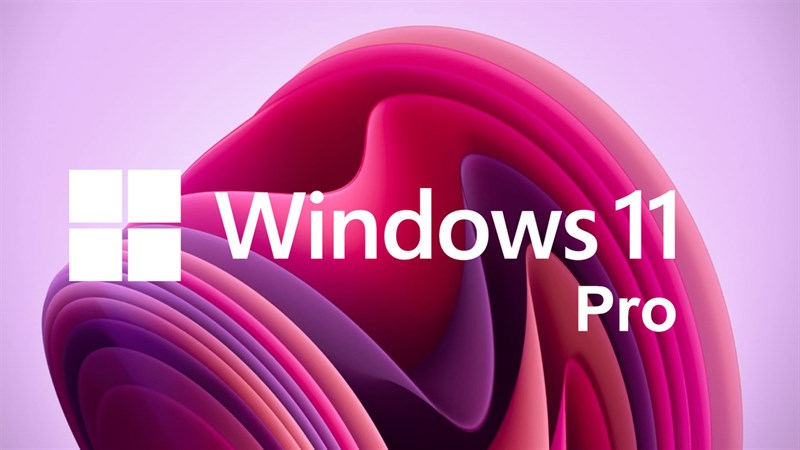 C&aacute;ch chuyển windows 11 home l&ecirc;n windows 11 pro