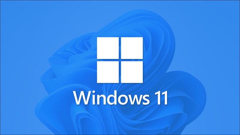 Câu hỏi về windows 11