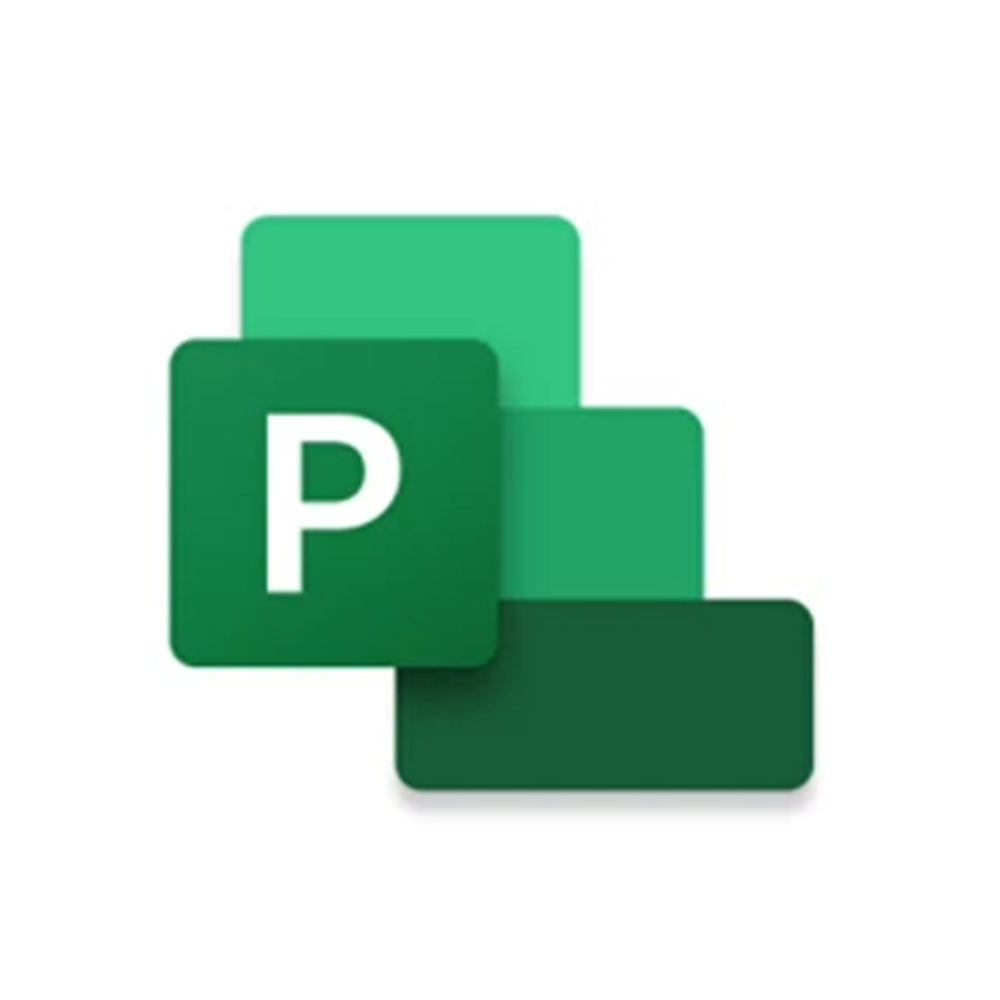 Phần mềm Microsoft Project standard 2024 All Lng Retail Online ESD (EP2-07057) - Key điện tử