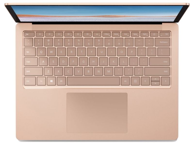 25009