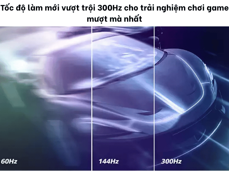 44426
