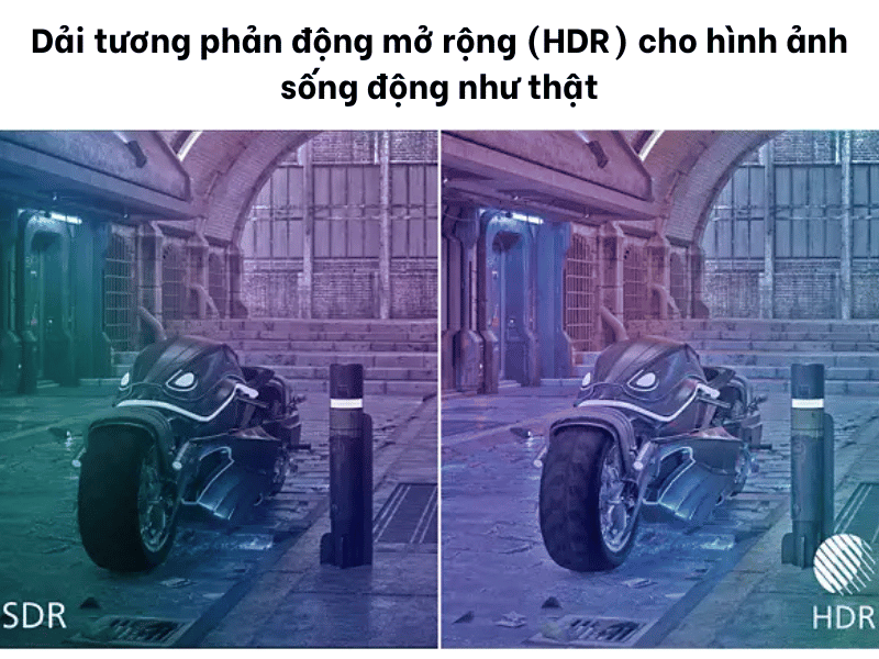 44269