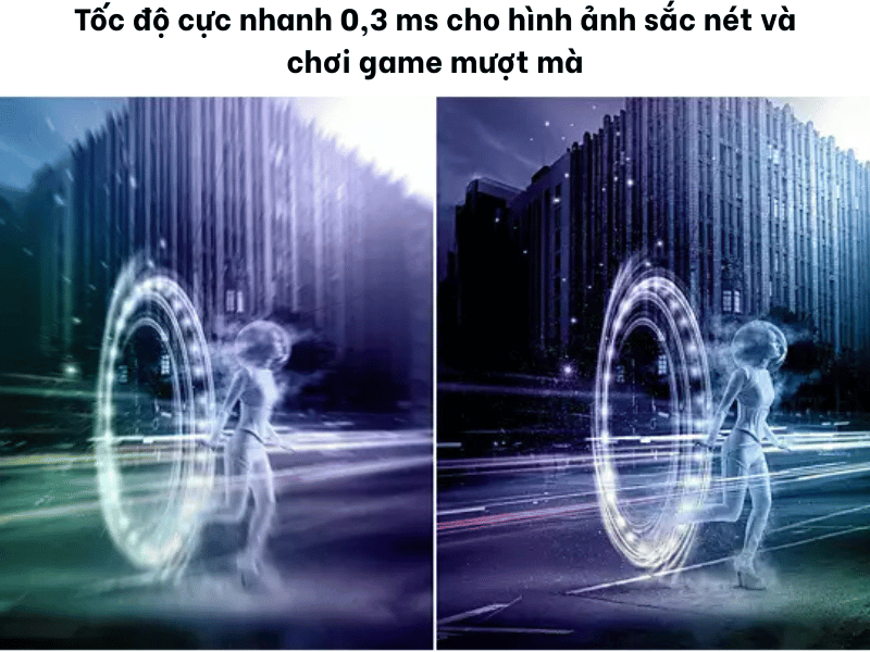 44428