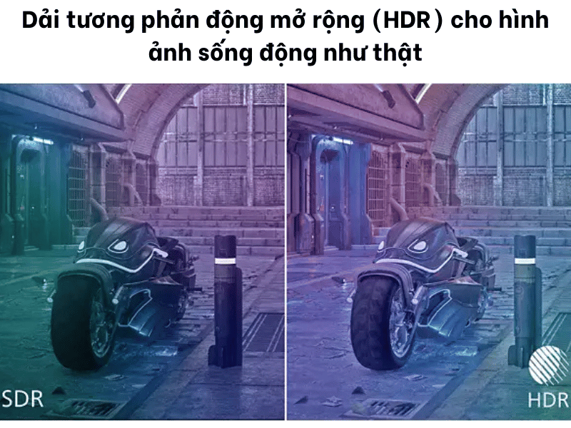 44291