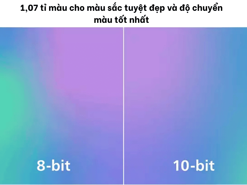 44429
