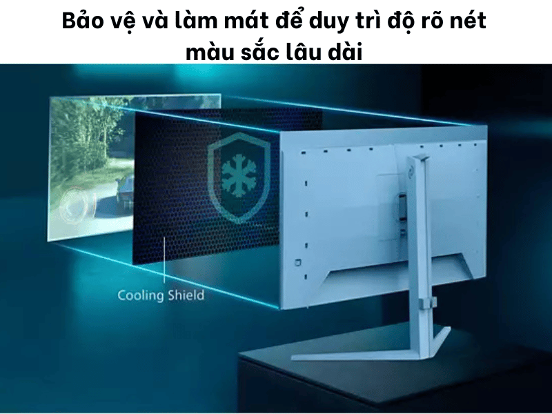 44272